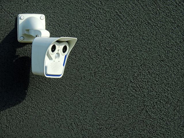 kamera
