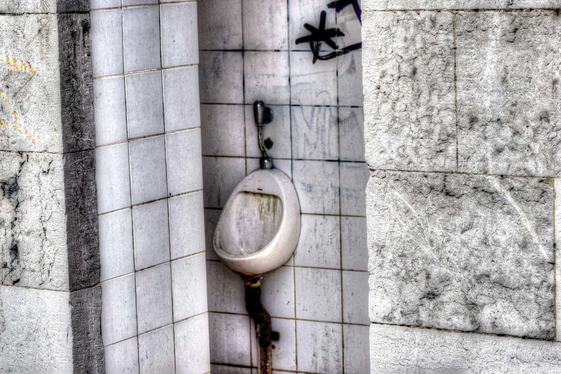 urinal-2318562_1920